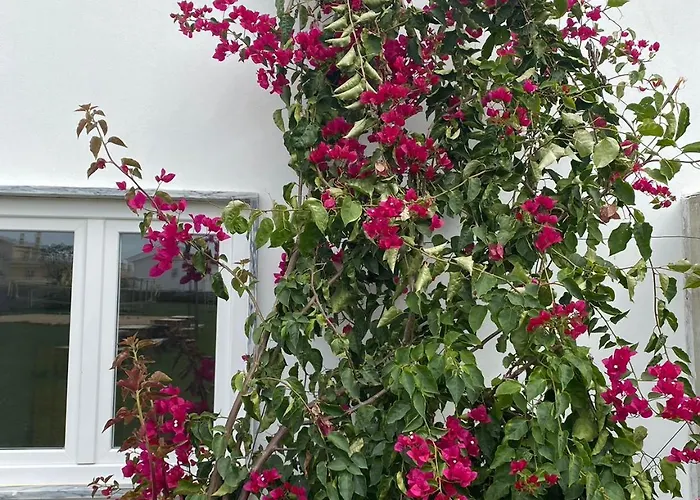 W.h.house Quarto em Acomodações Particulares Atouguia Da Baleia