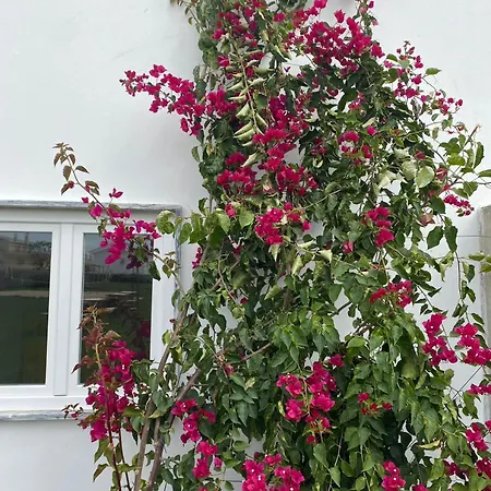 W.h.house Kwatera prywatna Atouguia Da Baleia